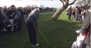 Tiger's punch on 4