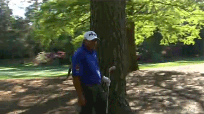 cabrera-in-trees-3