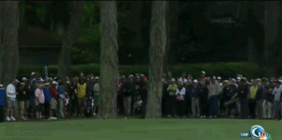 Hoffman-through-trees-on-8-again