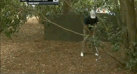 Schwartzel-left-on-1