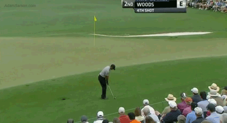 Tiger-chip-on-2