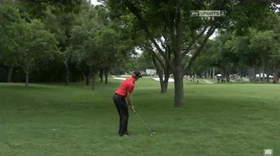 05.26.13-stroud-hits-tree-in-front