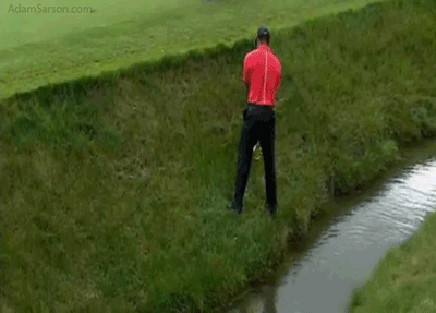 06.02-tiger-out-of-hazard