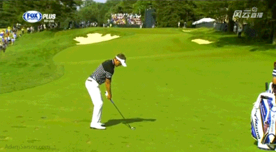 06.15.13-donald-goes-left-1