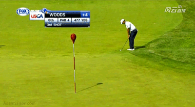 06.15.13-tiger-flubs-chip