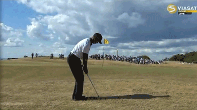 07.18.13-tiger-chip-comes-back