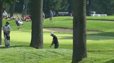 08.01.13-bvp-off-tree