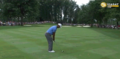 08.02.13-tiger-approach-11