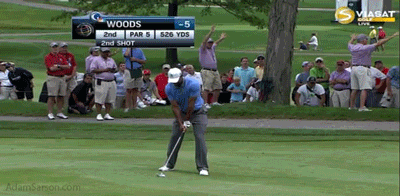 08.02.13-tiger-approach-2