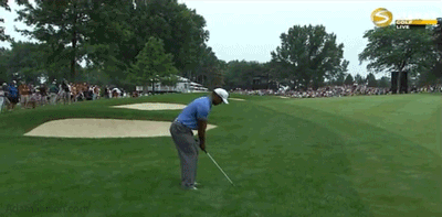 08.02.13-tiger-approach-to-17