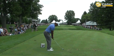 08.02.13-tiger-into-15