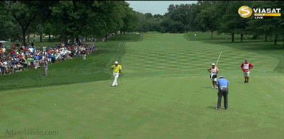 08.02.13-tiger-par-on-6