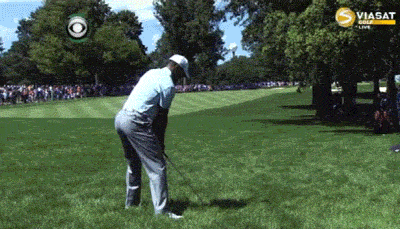 08.03.13-tiger-slow-mo-cut