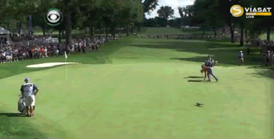 08.04.13-squirrel-on-the-green