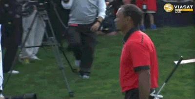 08.04.13-tiger-lacava