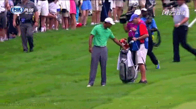 08.09.13-tiger-quick-shot