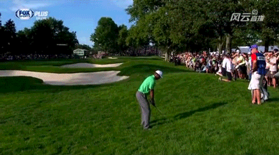 08.09.13-tiger-thick-rough