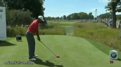 The famous Tiger stop.