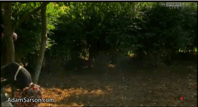 09.19.13 delaet recovery