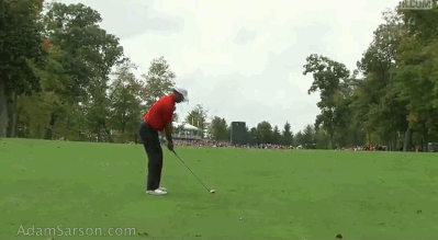 10.05.13 tiger approach 15