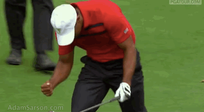 10.05.13 tiger reax 15