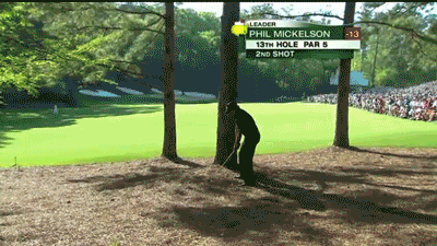 From the trees at the 2010 Masters