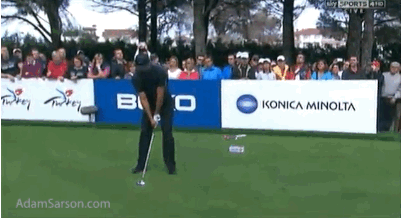 11.07.13 tiger frustrated tee