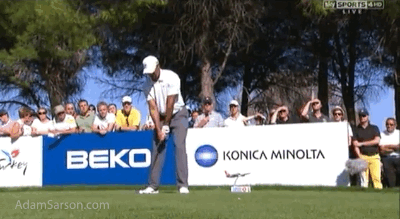 11.08.13 tiger backs off again