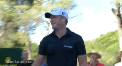 11.10.13 donaldson ace reax