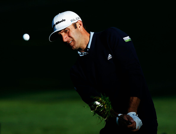 Dustin Johnson (Courtesy: Zimbio.com)