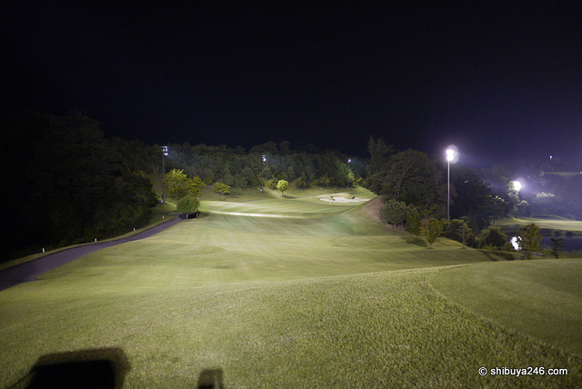 Night golf in Japan (Courtesy: shibuya246)