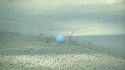 Adam Scott in the bunker, narrowly avoids the twig beside his ball.