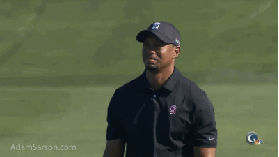 This pretty much summed up Tiger Woods' week at Torrey Pines.