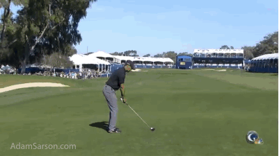 01.25.14 tiger water