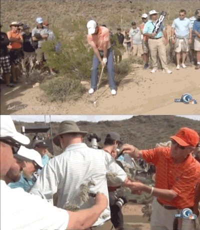 Rory McIlroy and the fan who fell into the jumping cholla.