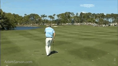 03.01.14 henley bird