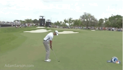 Henrik Stenson's shank.