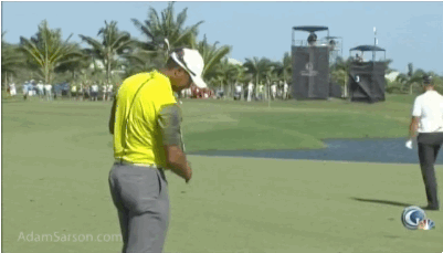 Some rage from Tiger.