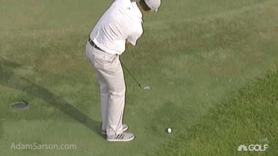 Justin Rose's penalty/non-penalty.