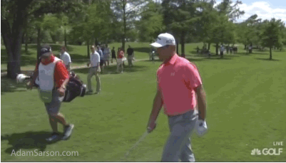 Look out for that tree!