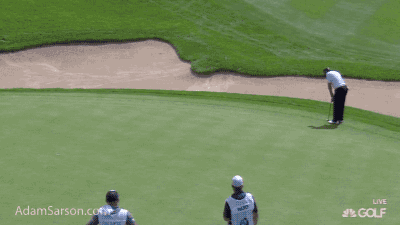 Sergio fights a bee.