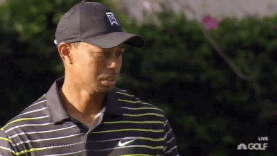 12.04.14 tiger miss putt reax