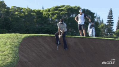 It goes on like this.