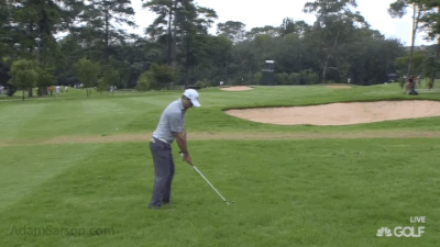 01.11.15 gary stal exaggeration