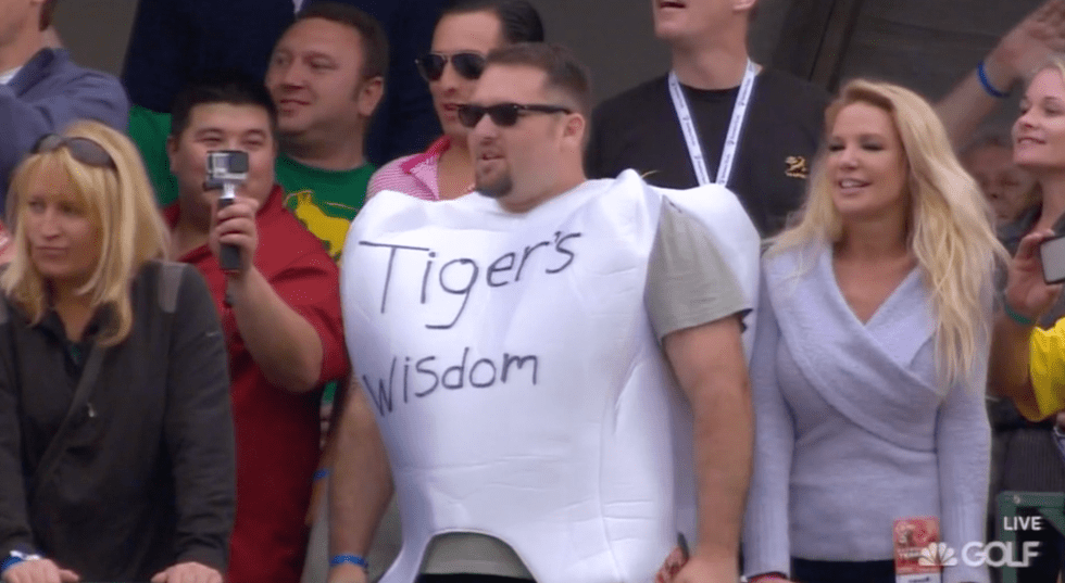 Tiger's Wisdom Tooth.