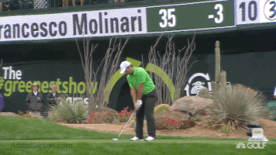Frankie Molinari's ace.