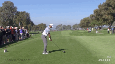 02.05.15 tiger back 1