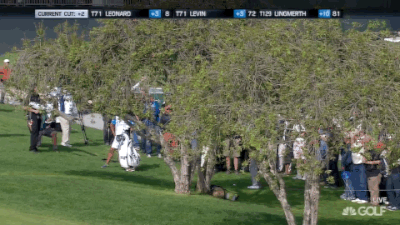 02.20.15 matsuyama chip 10