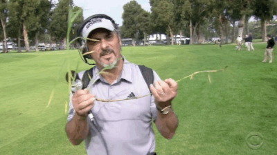02.21.15 feherty grass