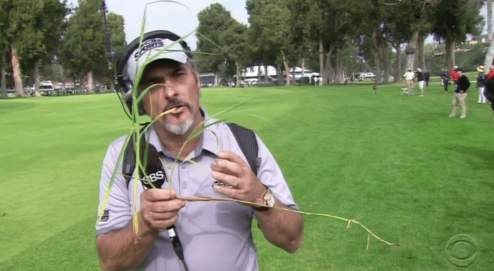 02.21.15 feherty grass